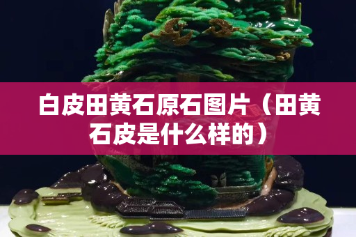 白皮田黄石原石图片（田黄石皮是什么样的）