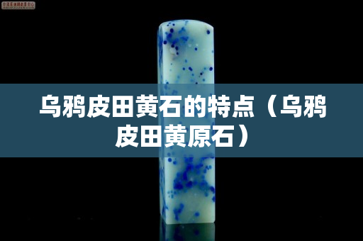 乌鸦皮田黄石的特点（乌鸦皮田黄原石）