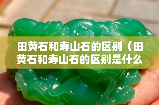 田黄石和寿山石的区别（田黄石和寿山石的区别是什么）