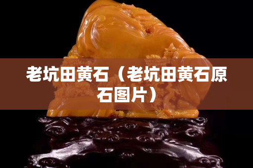 老坑田黄石（老坑田黄石原石图片）