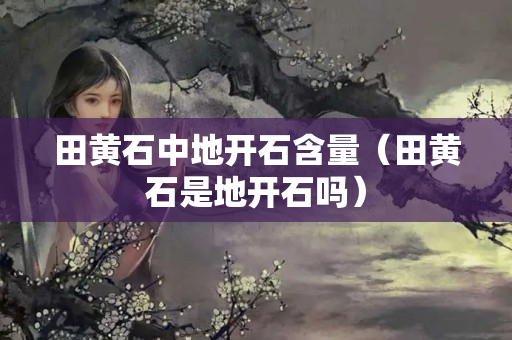 田黄石中地开石含量（田黄石是地开石吗）
