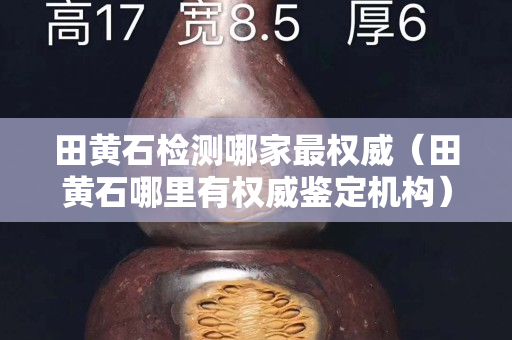 田黄石检测哪家最权威（田黄石哪里有权威鉴定机构）