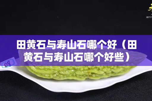 田黄石与寿山石哪个好（田黄石与寿山石哪个好些）