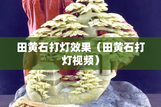 田黄石打灯效果（田黄石打灯视频）