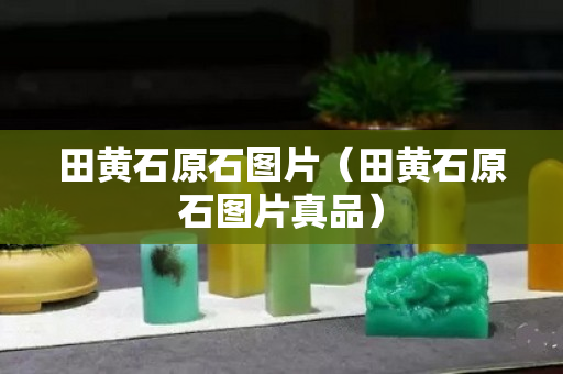 田黄石原石图片（田黄石原石图片真品）