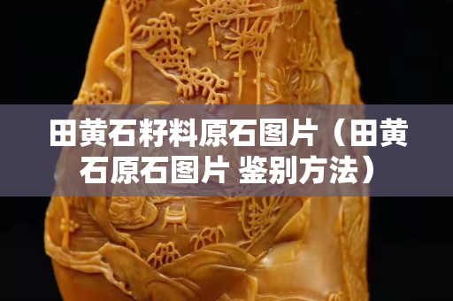 田黄石籽料原石图片（田黄石原石图片 鉴别方法）