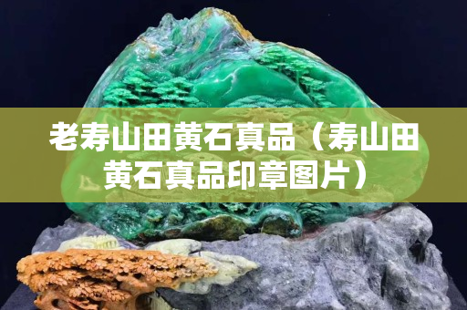 老寿山田黄石真品（寿山田黄石真品印章图片）