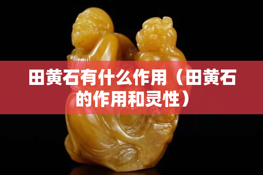 田黄石有什么作用（田黄石的作用和灵性）