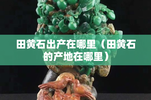 田黄石出产在哪里（田黄石的产地在哪里）