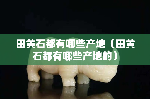 田黄石都有哪些产地（田黄石都有哪些产地的）