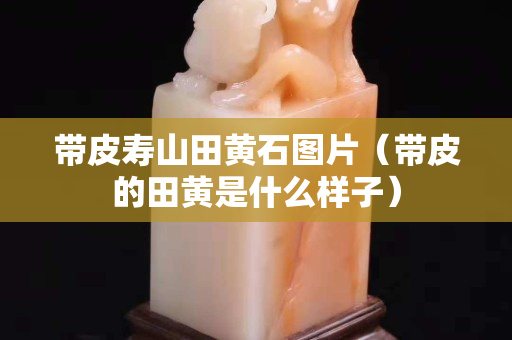 带皮寿山田黄石图片（带皮的田黄是什么样子）