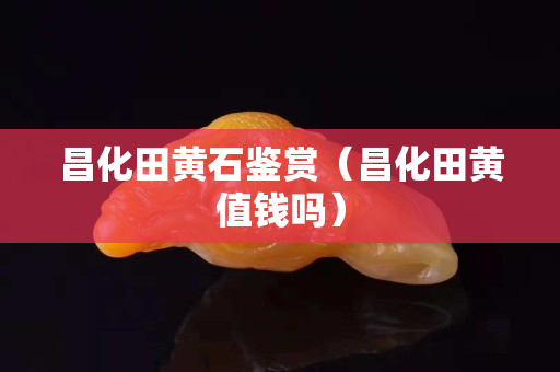 昌化田黄石鉴赏（昌化田黄值钱吗）