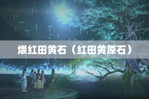 煨红田黄石（红田黄原石）