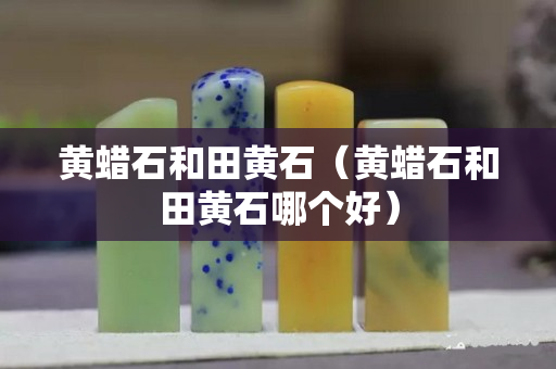 黄蜡石和田黄石（黄蜡石和田黄石哪个好）