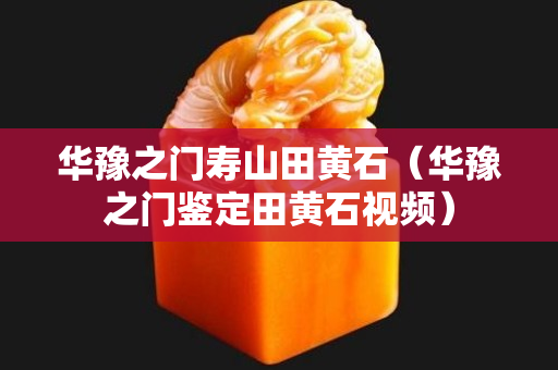 华豫之门寿山田黄石（华豫之门鉴定田黄石视频）