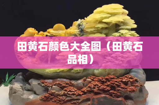 田黄石颜色大全图（田黄石品相）