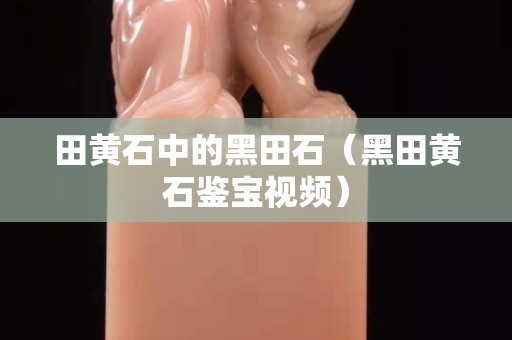 田黄石中的黑田石（黑田黄石鉴宝视频）