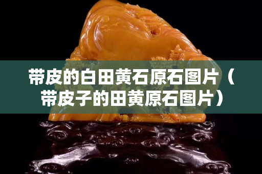 带皮的白田黄石原石图片（带皮子的田黄原石图片）