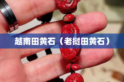 越南田黄石（老挝田黄石）