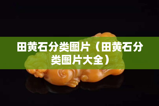 田黄石分类图片（田黄石分类图片大全）