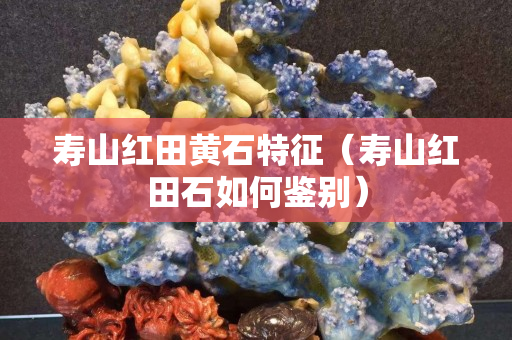 寿山红田黄石特征（寿山红田石如何鉴别）
