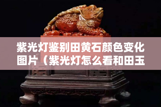 紫光灯鉴别田黄石颜色变化图片（紫光灯怎么看和田玉的真假）