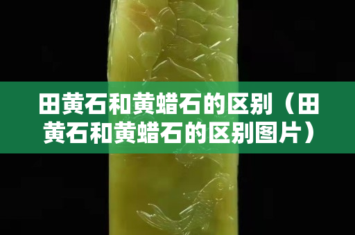 田黄石和黄蜡石的区别（田黄石和黄蜡石的区别图片）