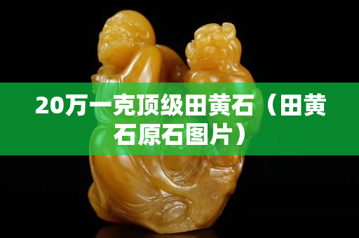 20万一克顶级田黄石（田黄石原石图片）