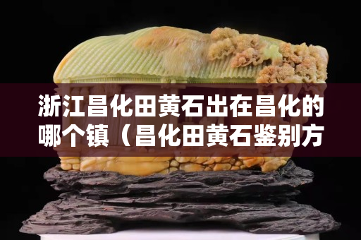 浙江昌化田黄石出在昌化的哪个镇（昌化田黄石鉴别方法）