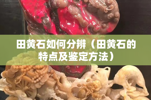 田黄石如何分辨（田黄石的特点及鉴定方法）