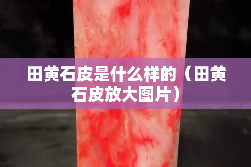 田黄石皮是什么样的（田黄石皮放大图片）