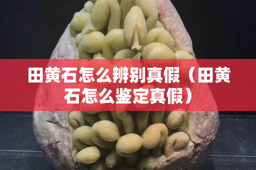 田黄石怎么辨别真假（田黄石怎么鉴定真假）