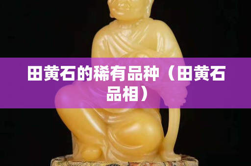 田黄石的稀有品种（田黄石品相）