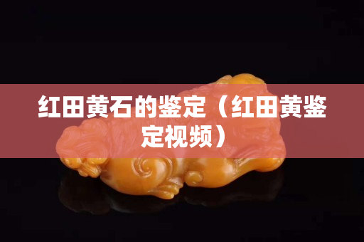红田黄石的鉴定（红田黄鉴定视频）