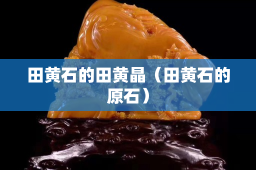 田黄石的田黄晶（田黄石的原石）