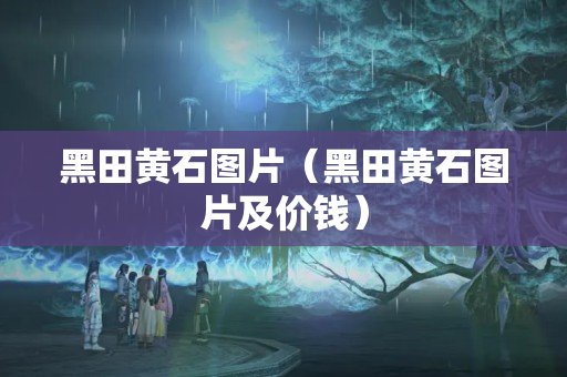 黑田黄石图片（黑田黄石图片及价钱）