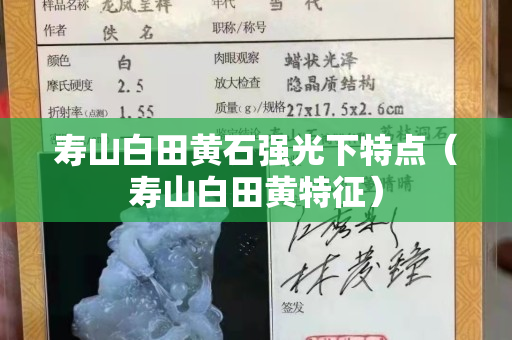 寿山白田黄石强光下特点（寿山白田黄特征）