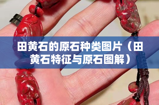 田黄石的原石种类图片（田黄石特征与原石图解）
