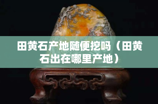 田黄石产地随便挖吗（田黄石出在哪里产地）