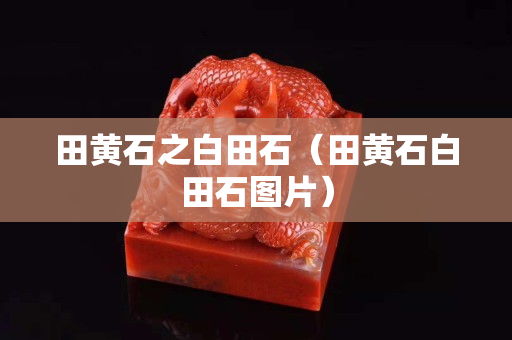田黄石之白田石（田黄石白田石图片）