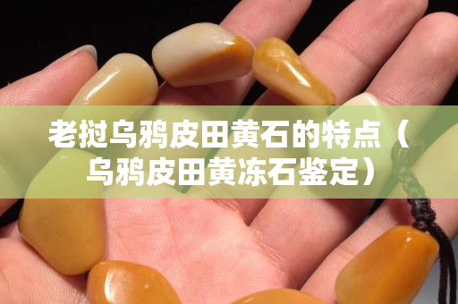 老挝乌鸦皮田黄石的特点（乌鸦皮田黄冻石鉴定）