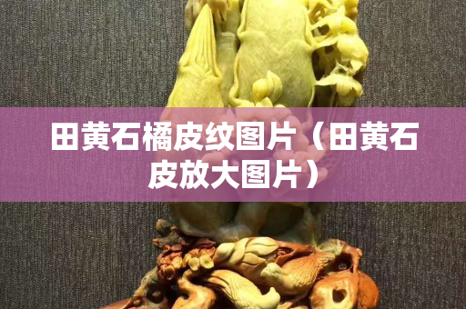 田黄石橘皮纹图片（田黄石皮放大图片）