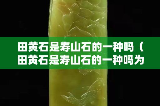 田黄石是寿山石的一种吗（田黄石是寿山石的一种吗为什么）