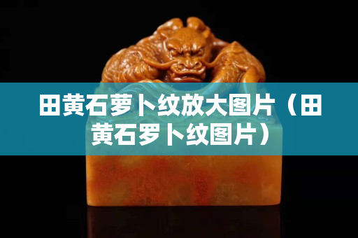 田黄石萝卜纹放大图片（田黄石罗卜纹图片）