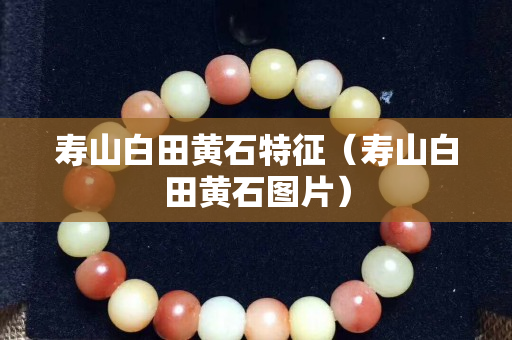 寿山白田黄石特征（寿山白田黄石图片）
