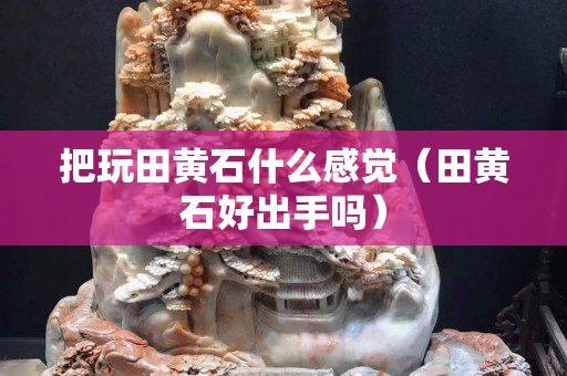 把玩田黄石什么感觉（田黄石好出手吗）