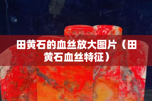 田黄石的血丝放大图片（田黄石血丝特征）