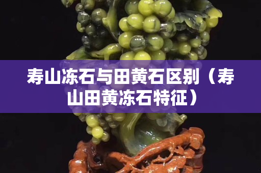 寿山冻石与田黄石区别（寿山田黄冻石特征）