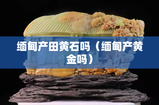 缅甸产田黄石吗（缅甸产黄金吗）