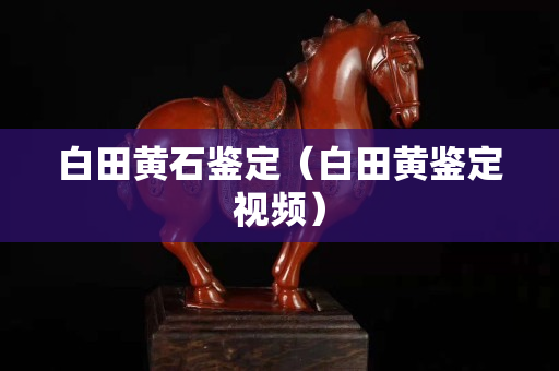 白田黄石鉴定（白田黄鉴定视频）
